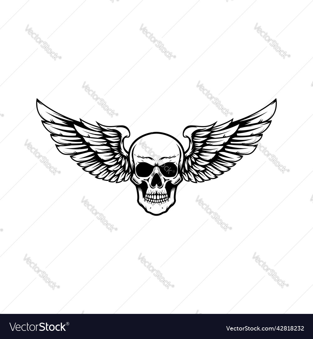 Winged skull design element for emblem sign Vector Image