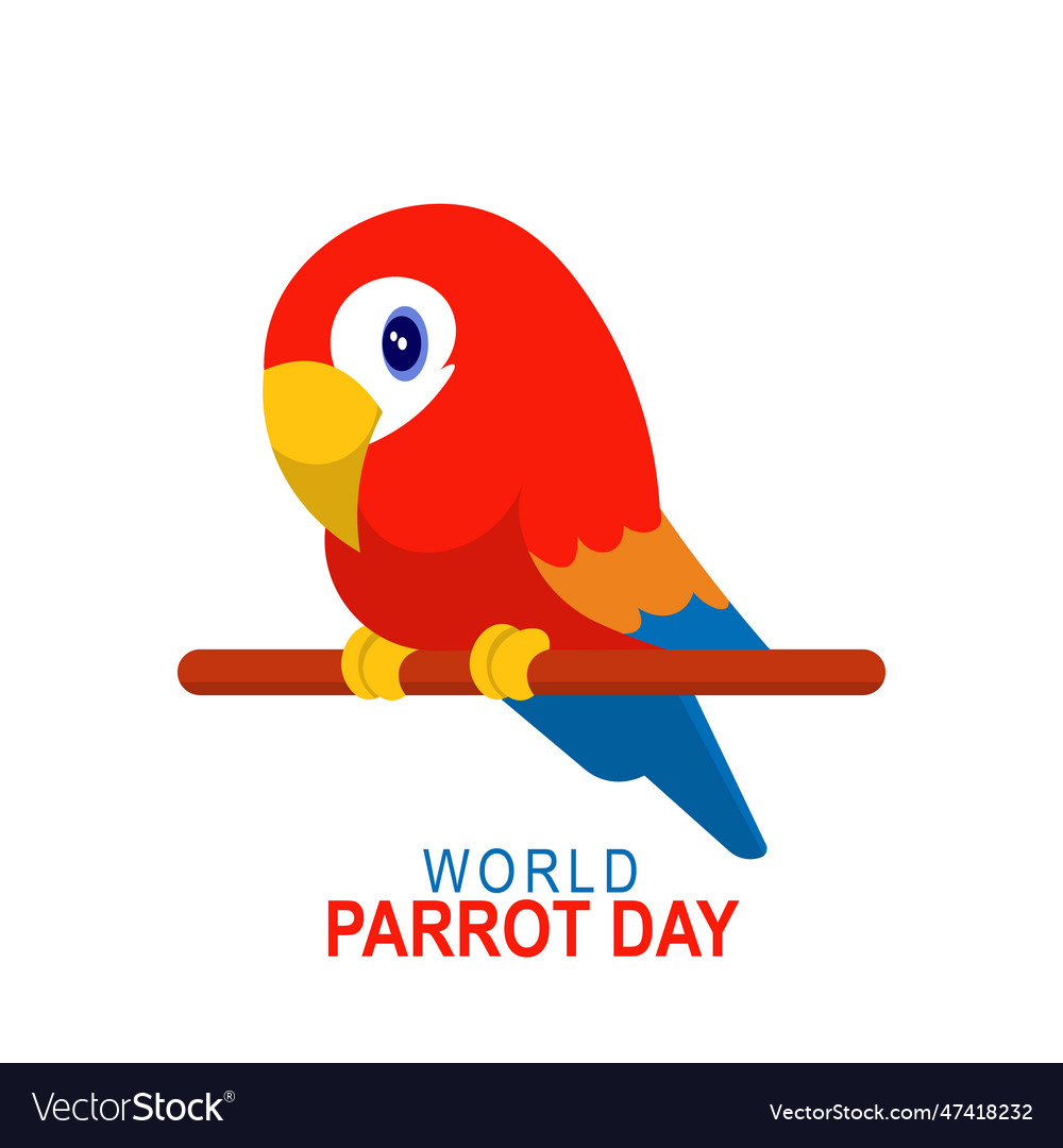 World parrot day background Royalty Free Vector Image