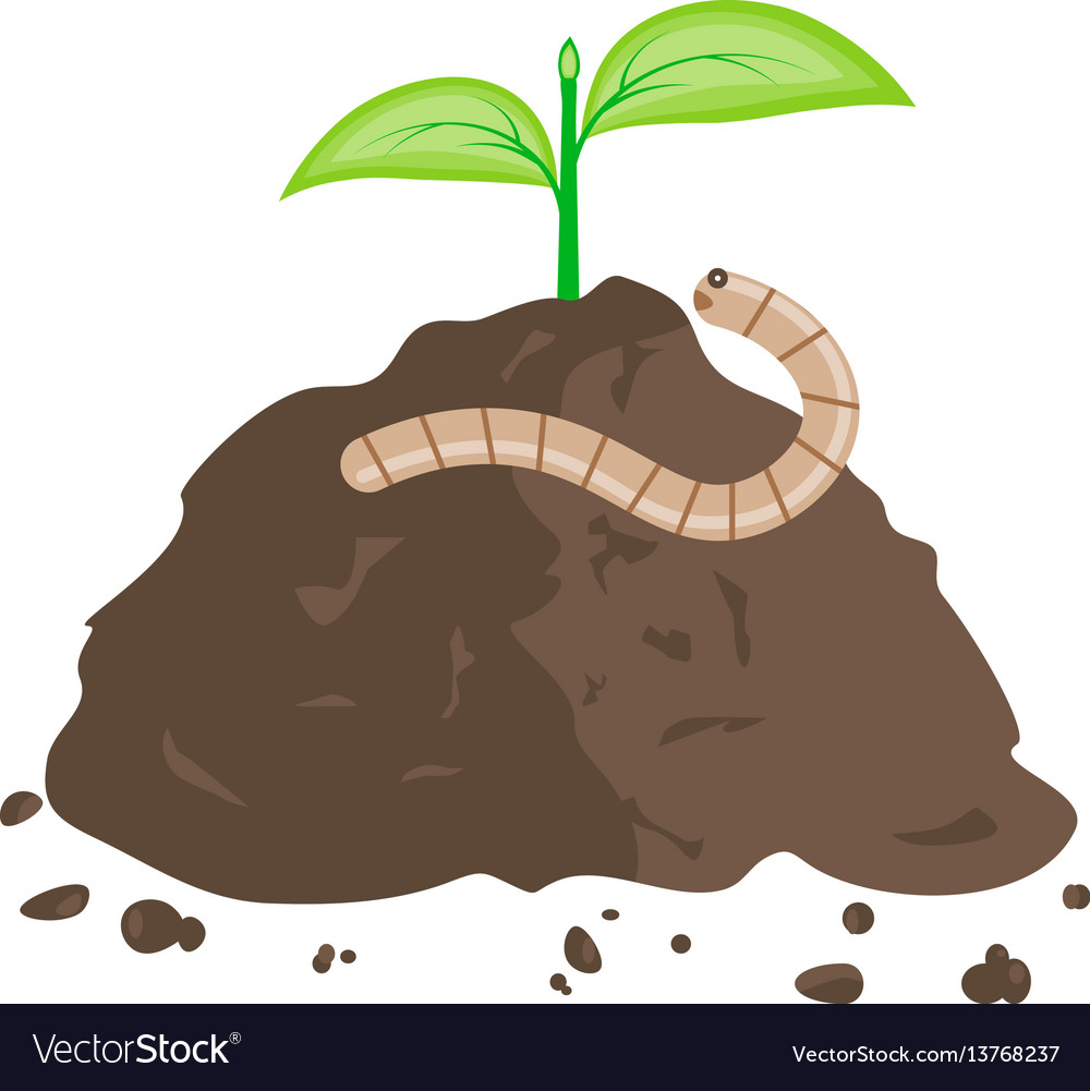 How Do Worms Eat Dirt at courtneyjburt blog