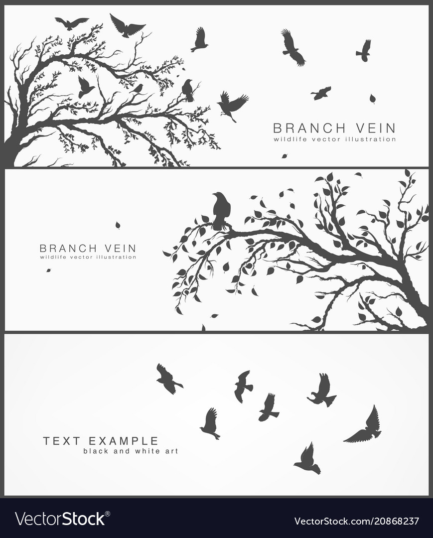 Forest and birds banner for facebook design Vector Image