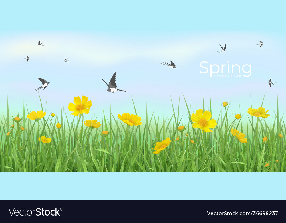 Spring background with flower meadow and flying