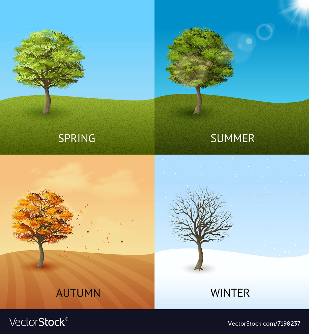 Tree concept set Royalty Free Vector Image - VectorStock