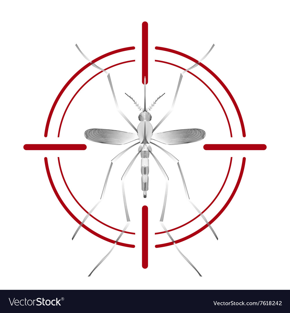 Fever mosquito species aedes aegyti in red aim Vector Image