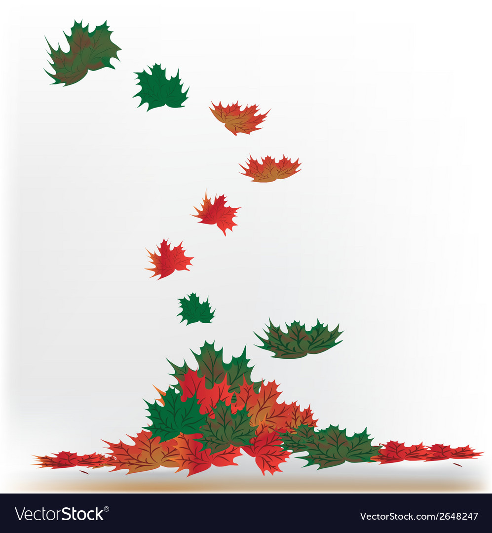 A group colorful leafs falling down from tree