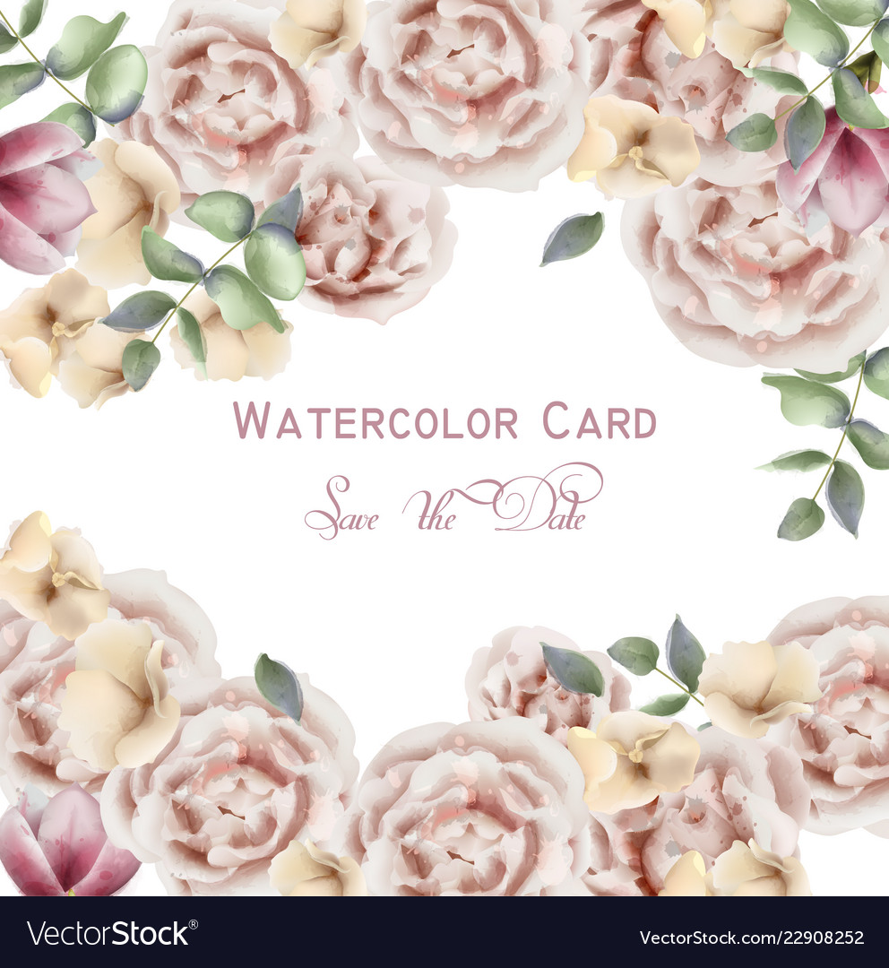 Rosa Rose Aquarell Hintergrund