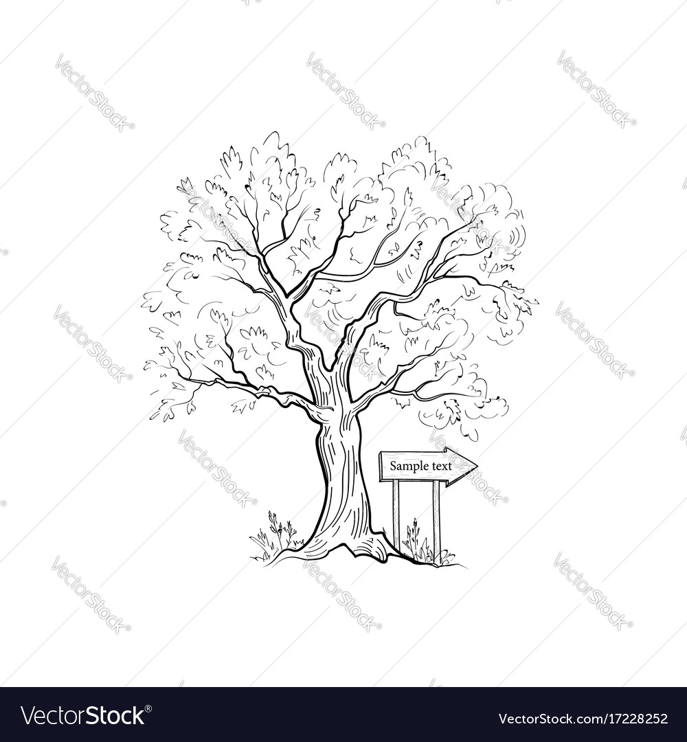 Tree with Arrow Sign - Nature Sketch