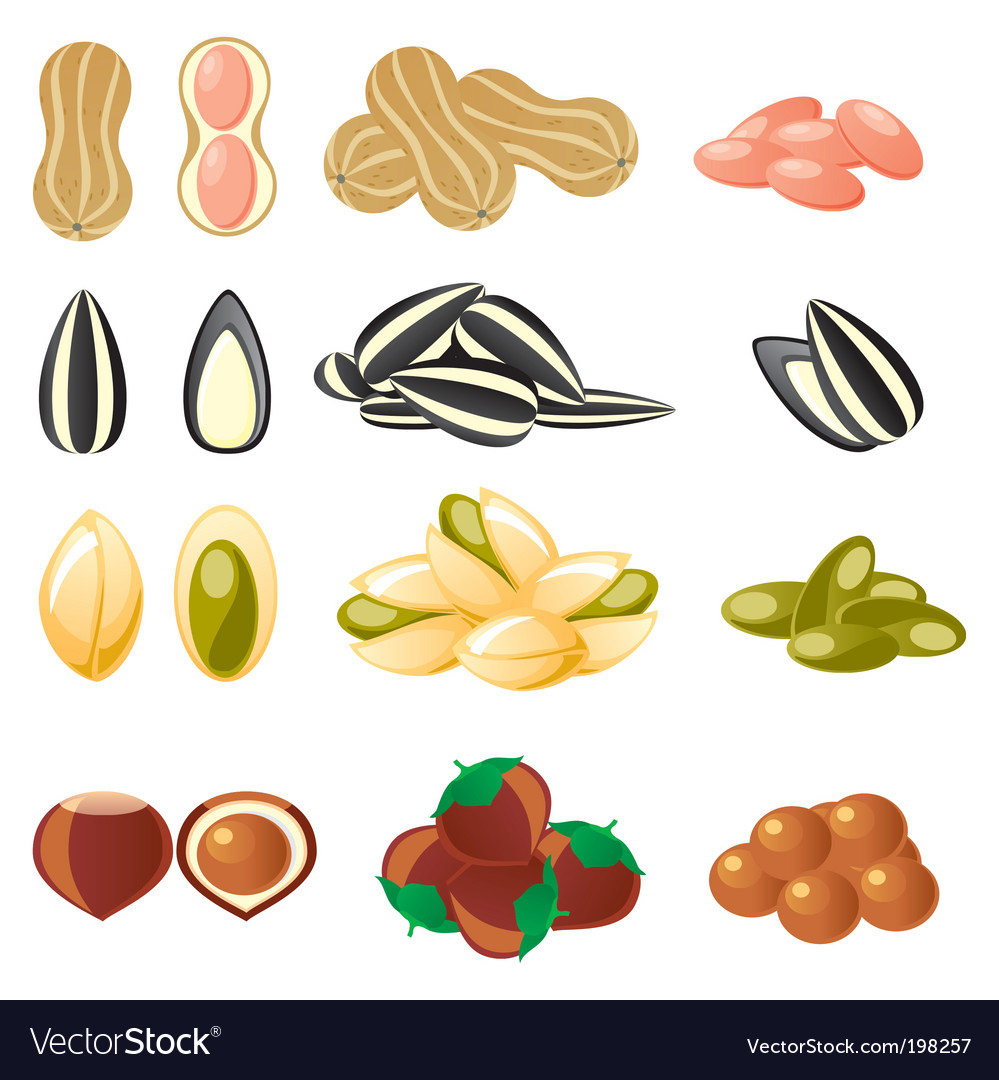 Assorted Nuts Collection