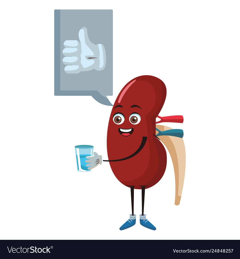 Kidney funny cartoon Royalty Free Vector Image