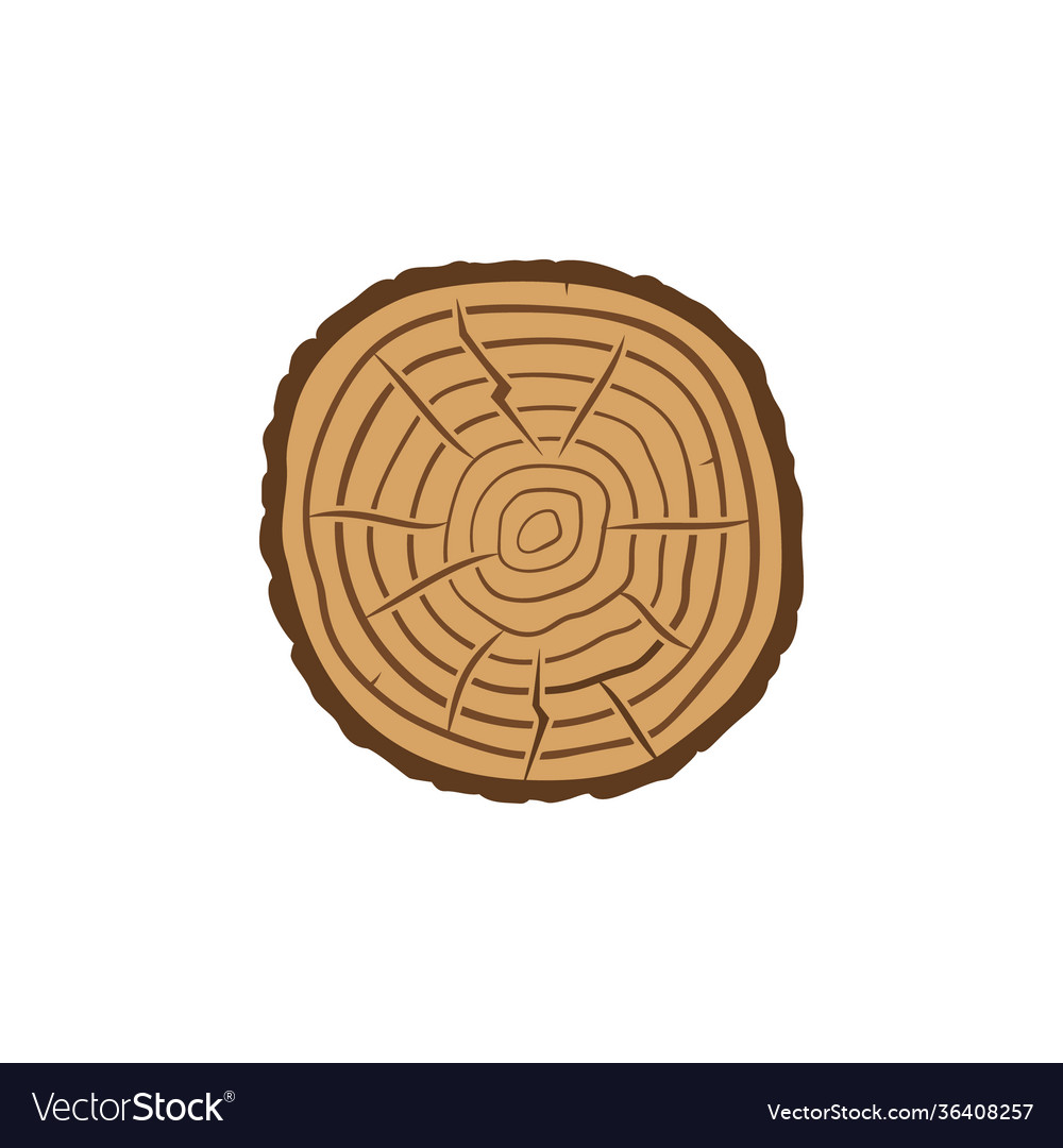 Tree trunk slice with rings concept colored