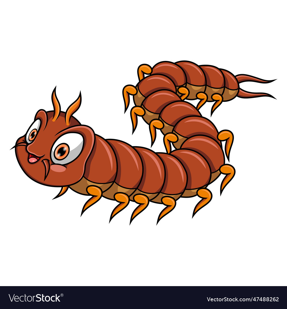 Cartoon centipede isolated on white background