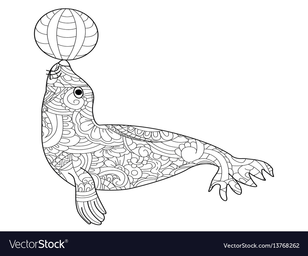 fur seal coloring for adults royalty free vector image seal coloring