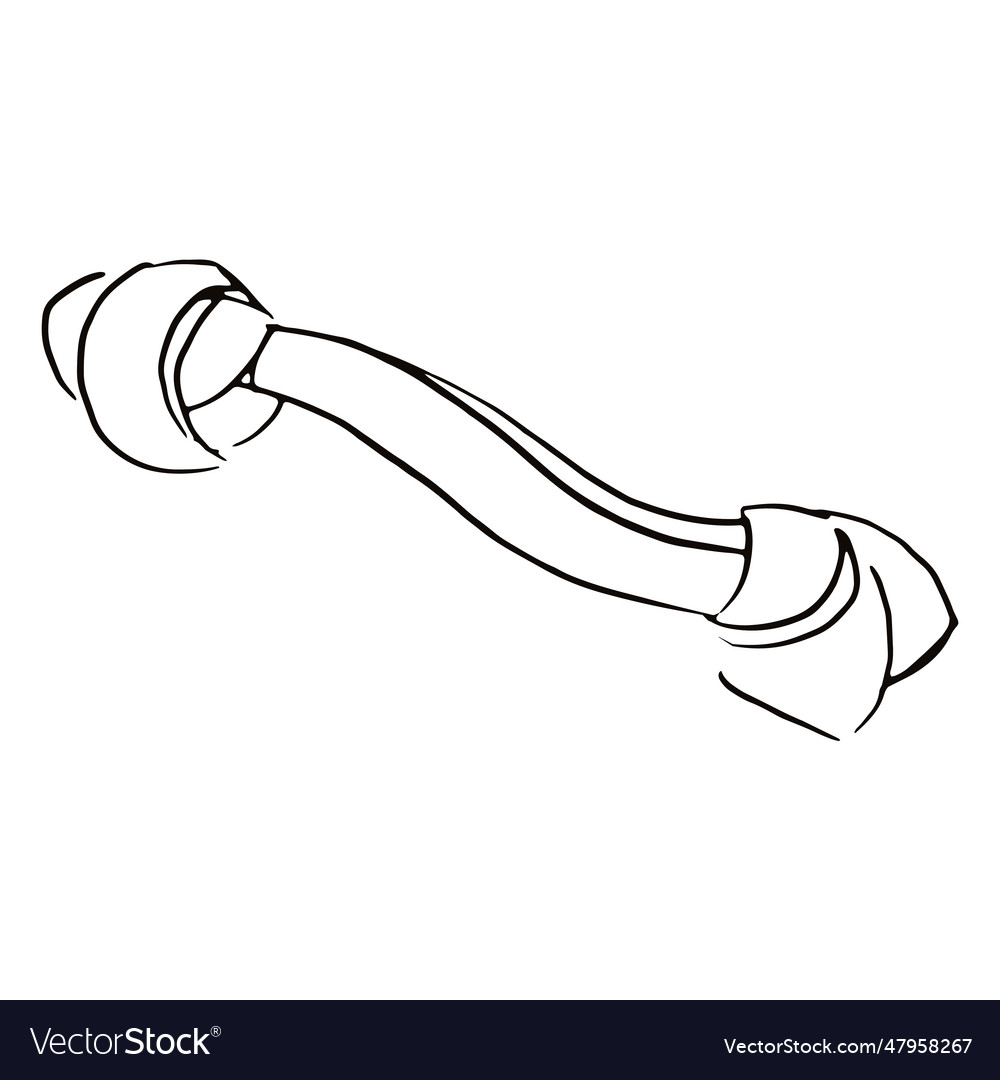 Bone dog chew toy doodle vector image Bone dog chew toy doodle