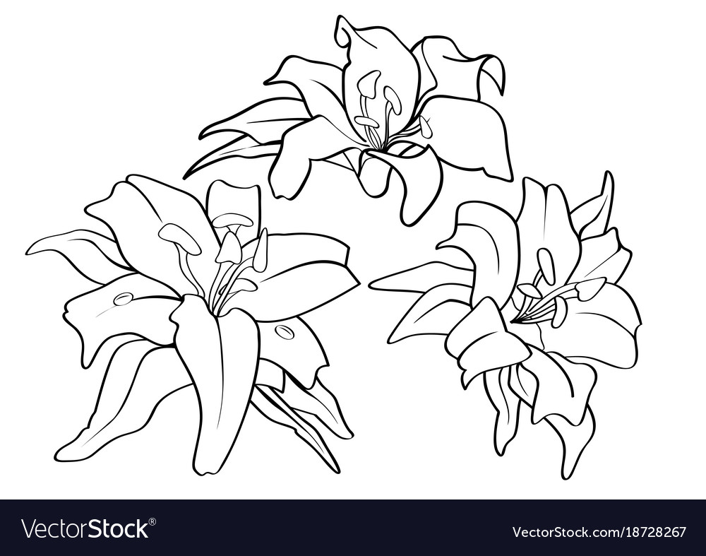 Flower piece tattoo pattern lined draw