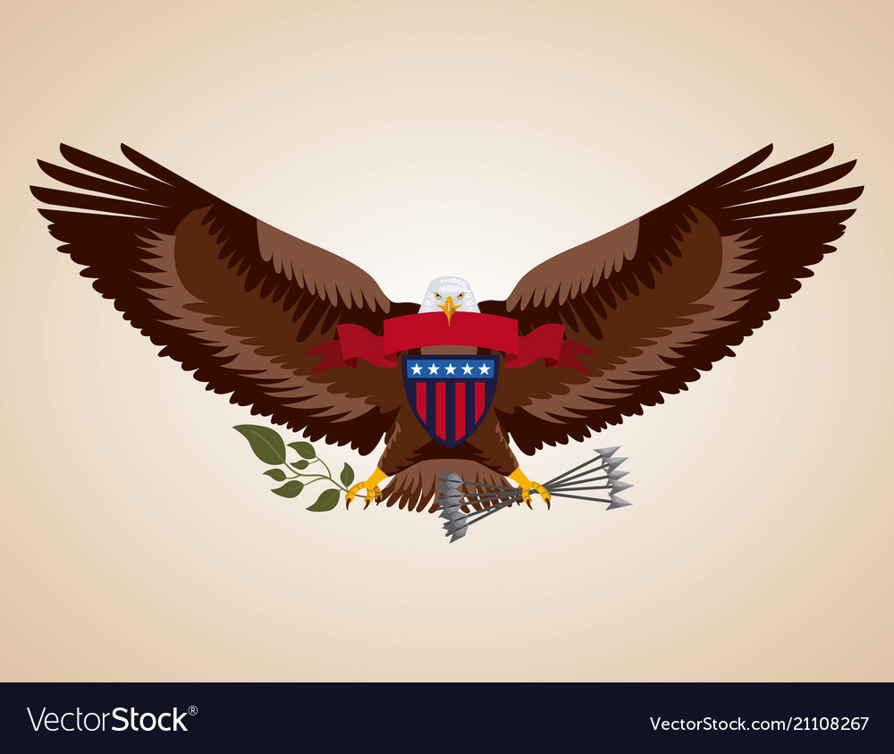 Independence day america Royalty Free Vector Image