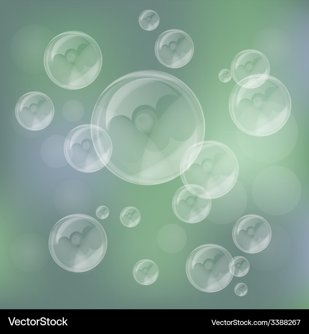 Soap bubbles Royalty Free Vector Image - VectorStock