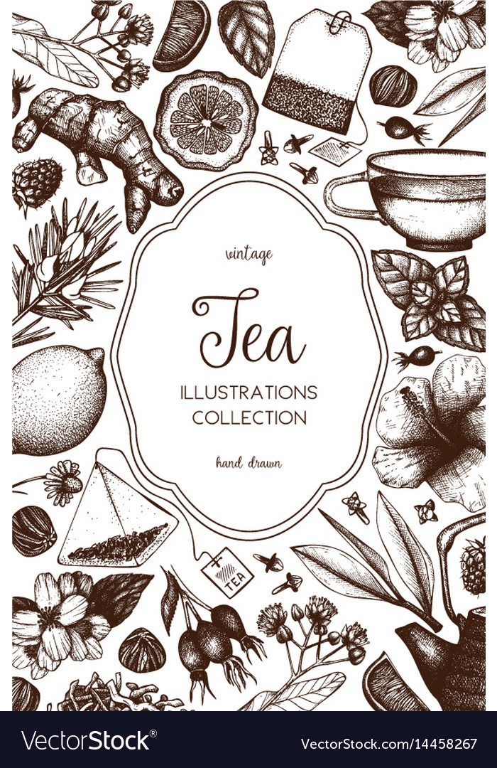 Tea design Royalty Free Vector Image VectorStock