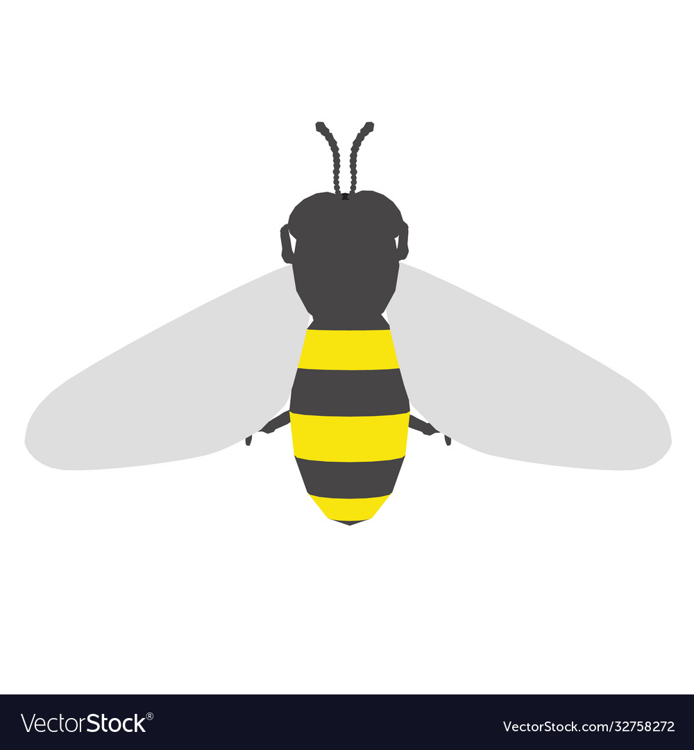 Bee in a flat style view from above isolated