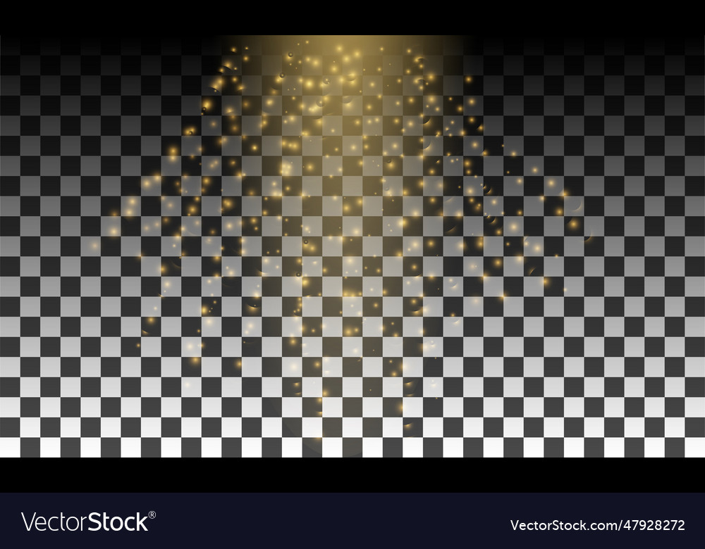 Bokeh sparkles shimmer on transparent background vector image Bokeh sparkles shimmer on transparent background
