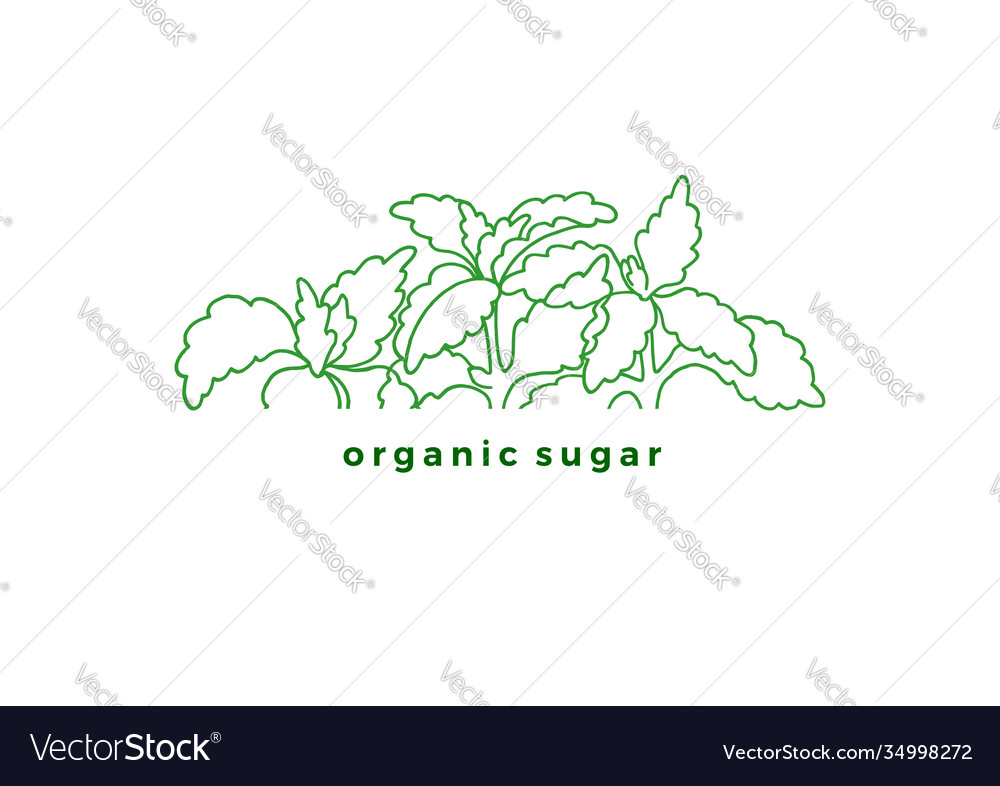 Label Stevia Bio-Zucker natürliche Süßspeise vector image Label Stevia Bio-Zucker natürliche Süßspeise