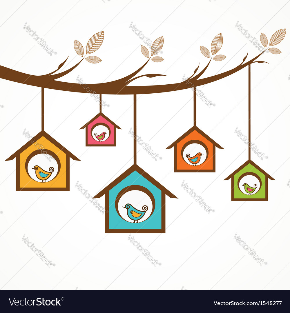 Colorful Birds in Feeders