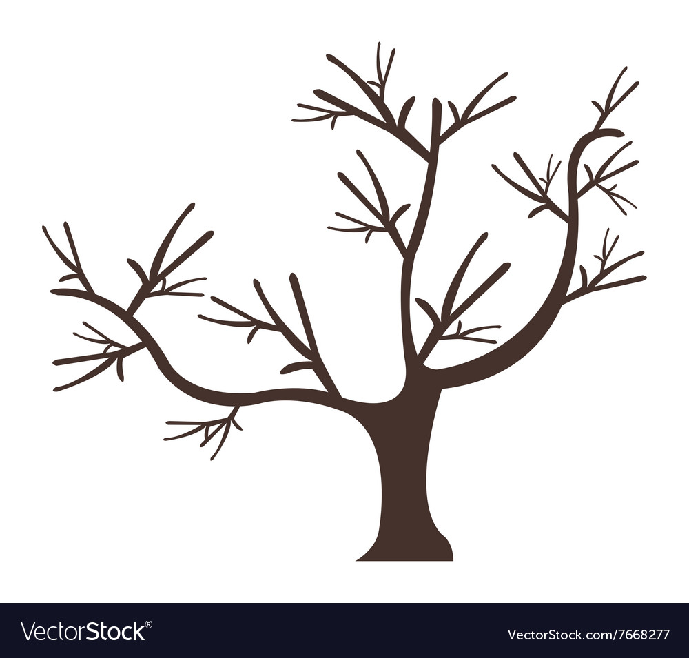 Dry tree on white background Royalty Free Vector Image