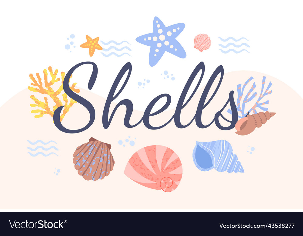 Poster with shells Royalty Free Vector Image - VectorStock