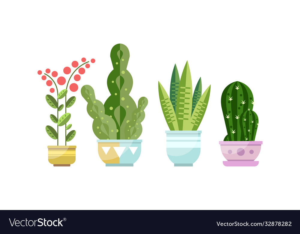 Green growing potted houseplants set home