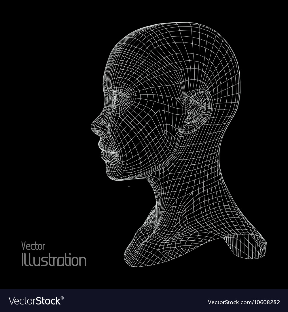 Head Of The Person From A 3d Grid Human Wire Vector Image