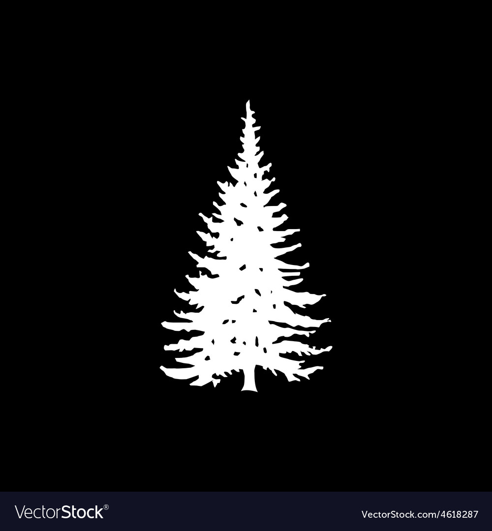 Coniferous Tree Silhouettes