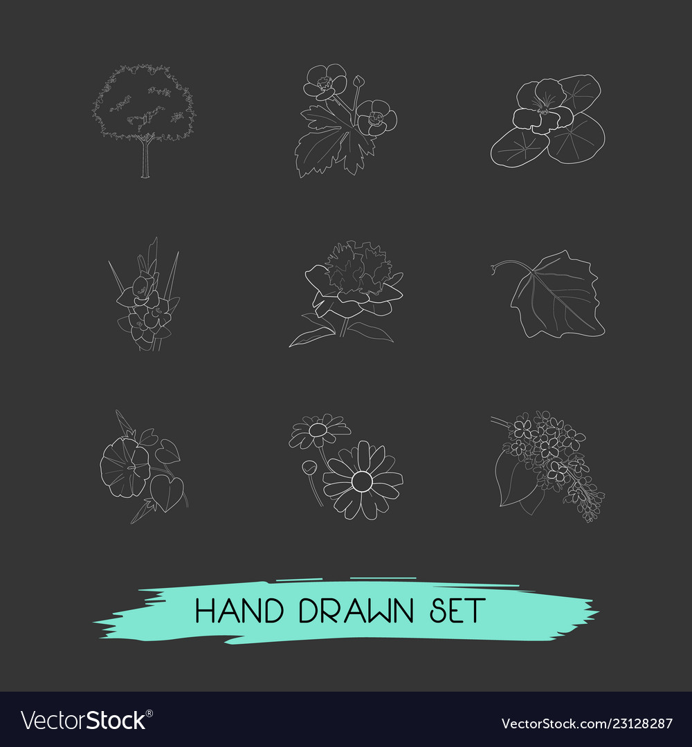 Set of botany icons line style symbols with lilac vector image Set of botany icons line style symbols with lilac