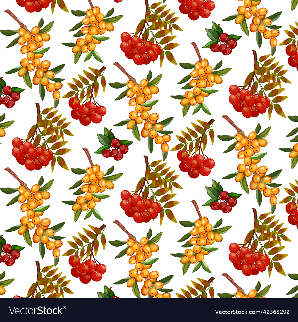 Branches with berries in a pattern Vector Image Branches with berries in a pattern