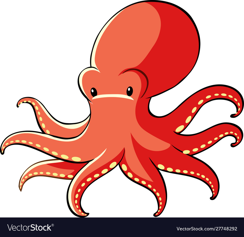 Red octopus on white background Royalty Free Vector Image