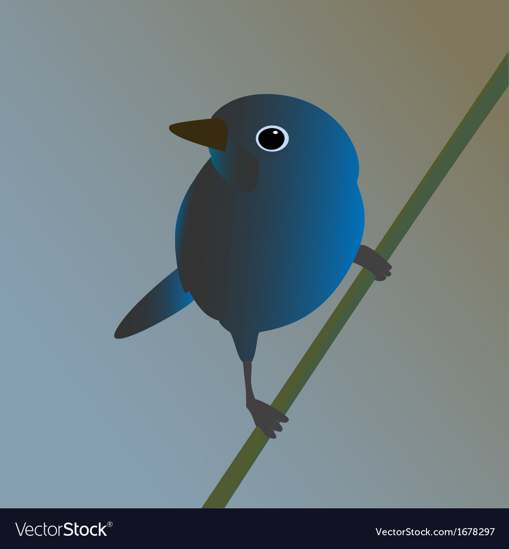 Blue bird on a branch