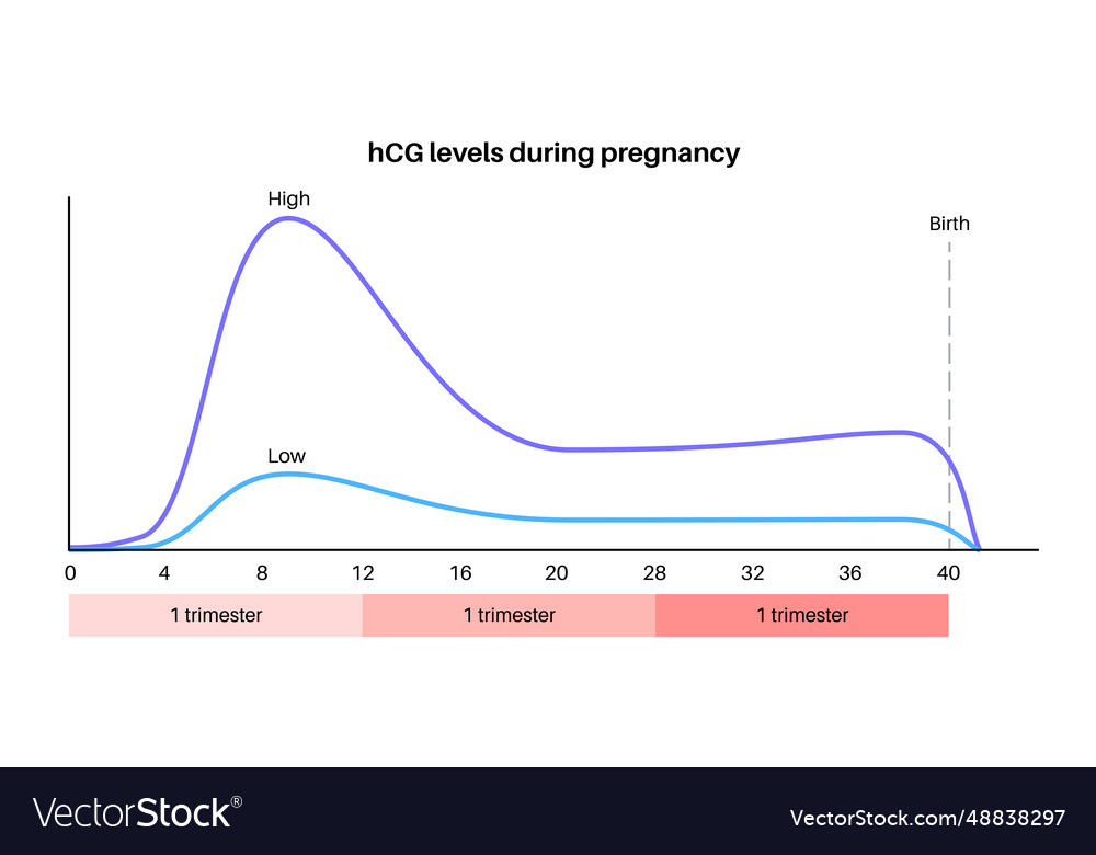 Hormones in pregnancy