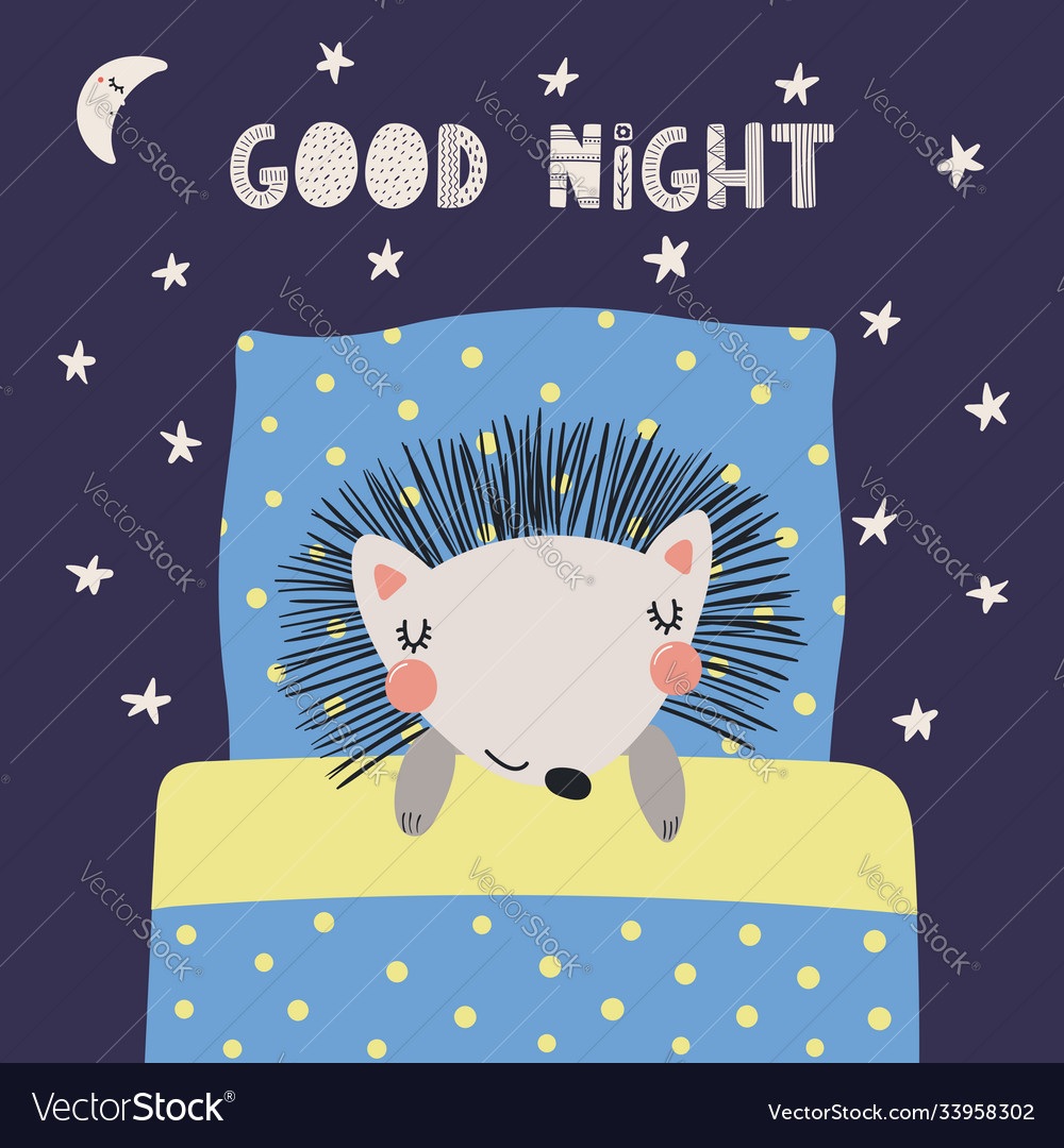 My Image 27