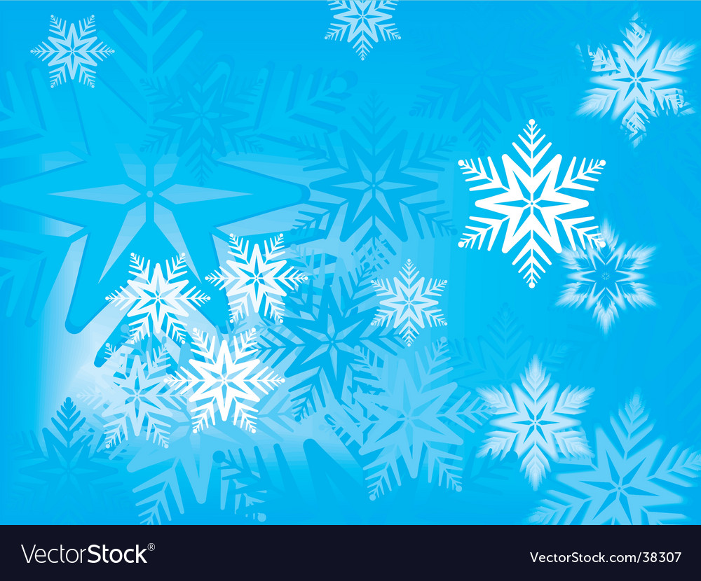 Winter snowflakes Royalty Free Vector Image - VectorStock