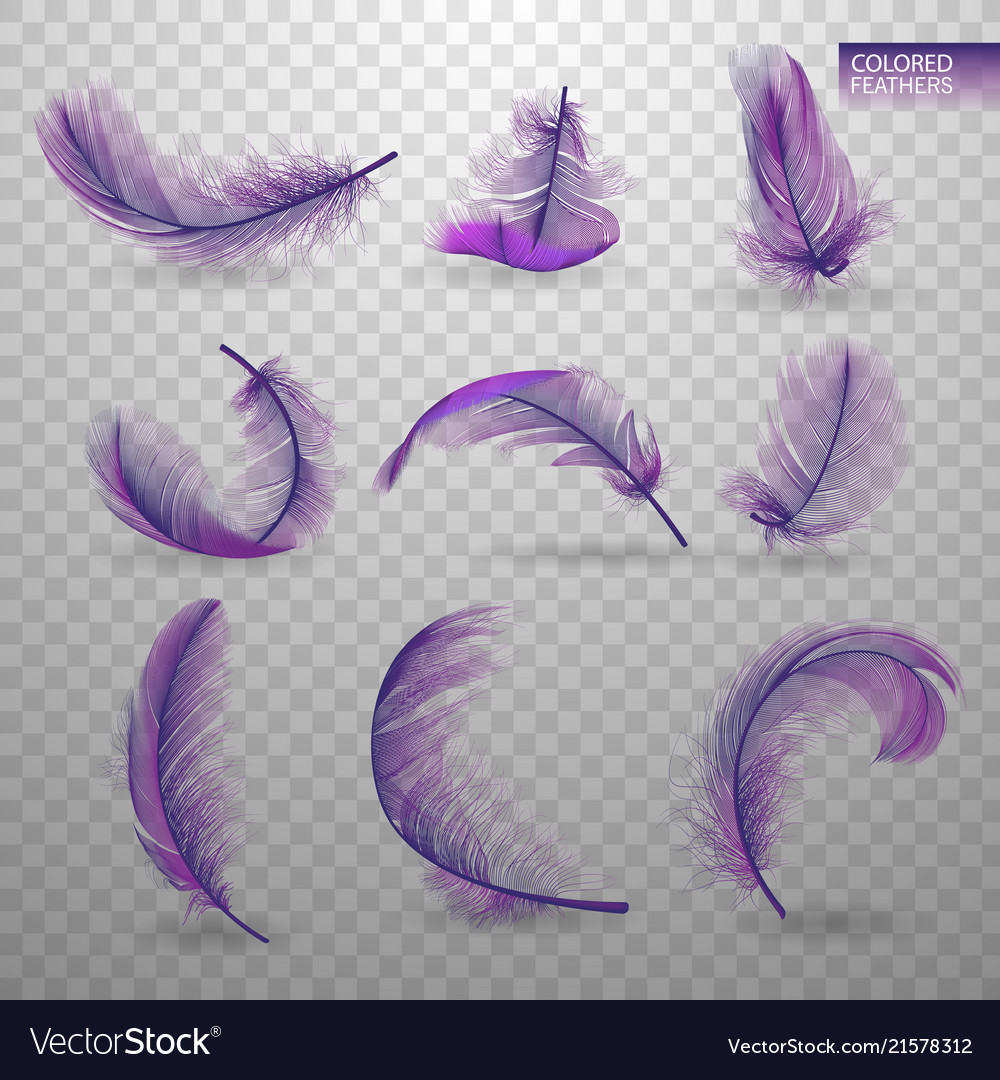 Set of isolated falling colored fluffy twirled vector image Set of isolated falling colored fluffy twirled
