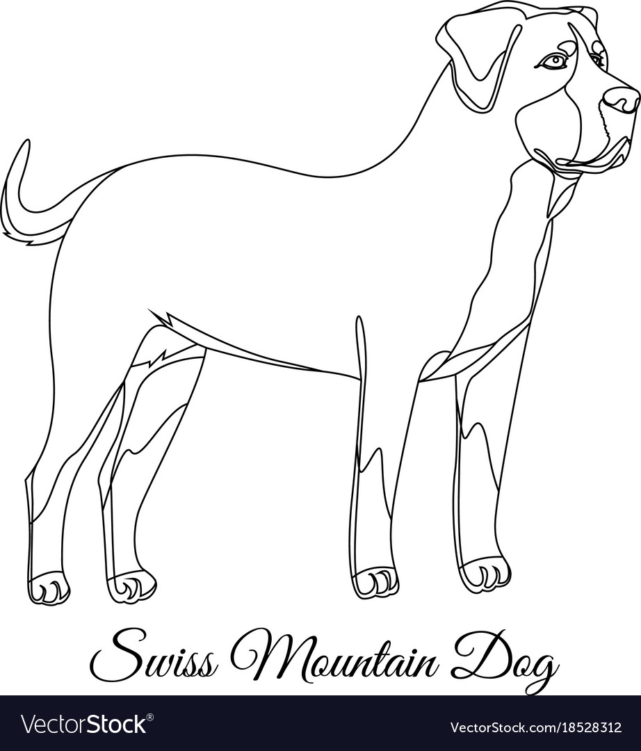swiss mountain dog outline dog outline
