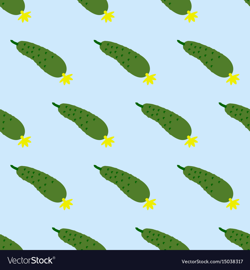 Cucumber vegetable pattern