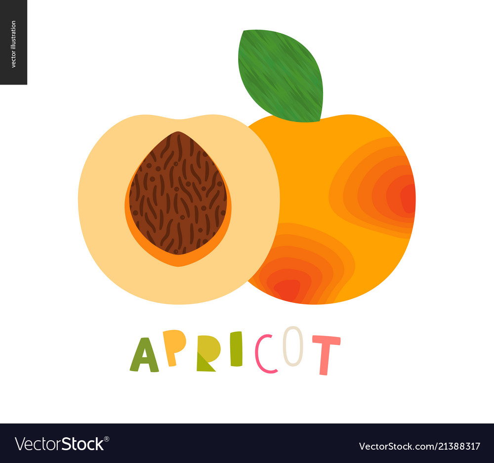 Halbe Aprikosenfrucht Slice