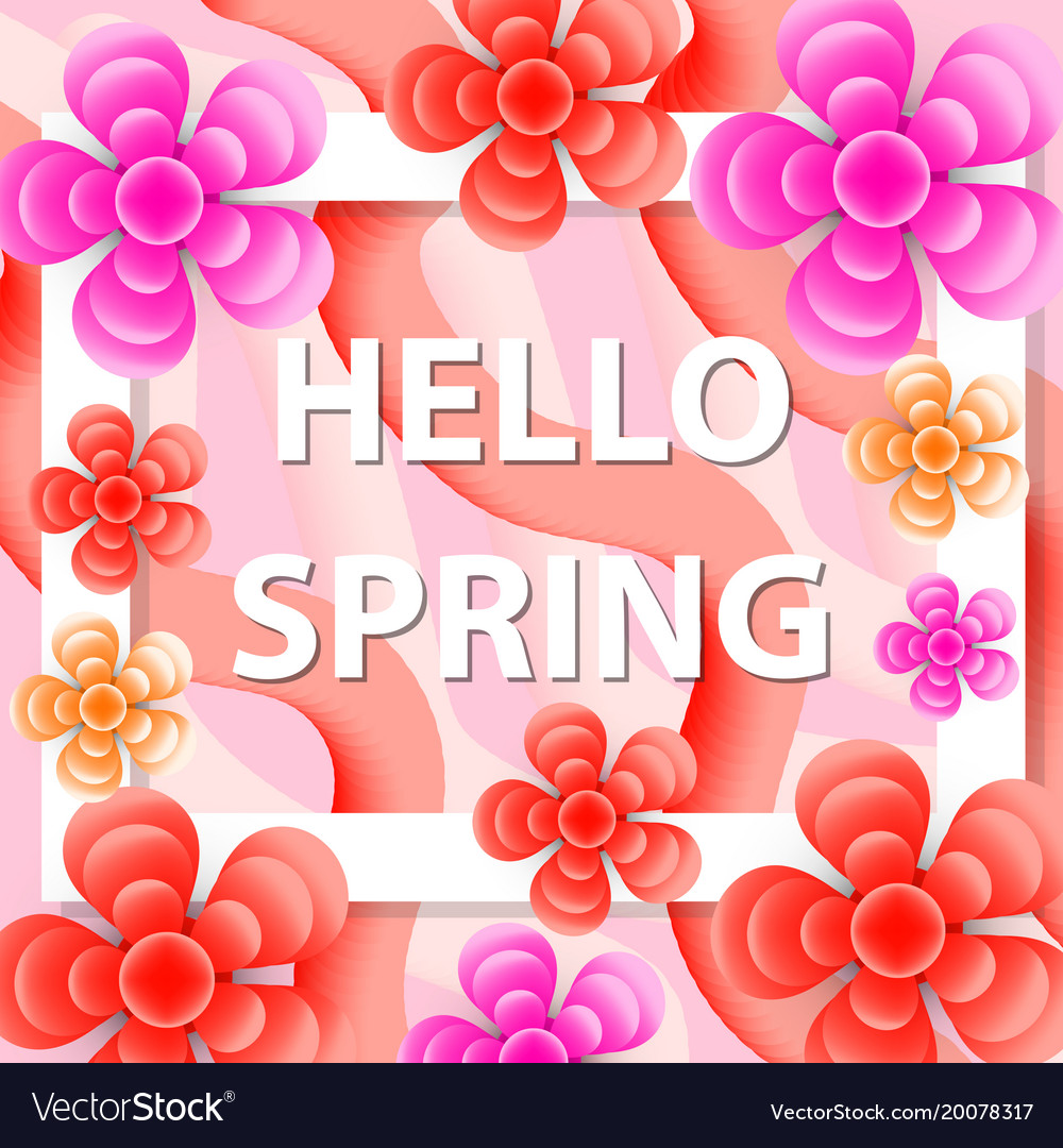 Hello spring greeting card with flowers modern Vector Image
