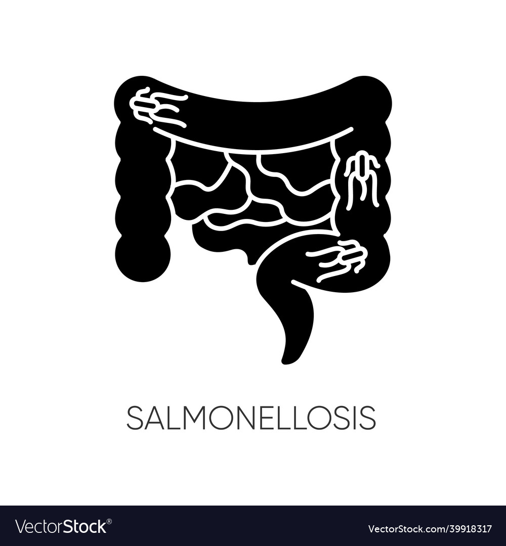 Salmonellosis schwarzes Glyphen-Ikonen-Verdauungssystem