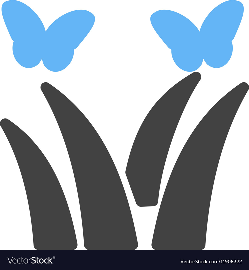 Butterflies over plants