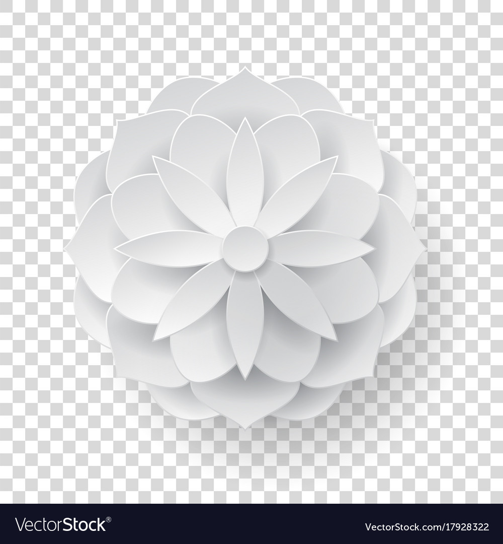 Papiervolumen Blume transparent Hintergrund