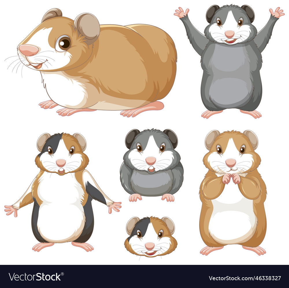 Set Of Hamster Rodents Cartoon Character Vector Image