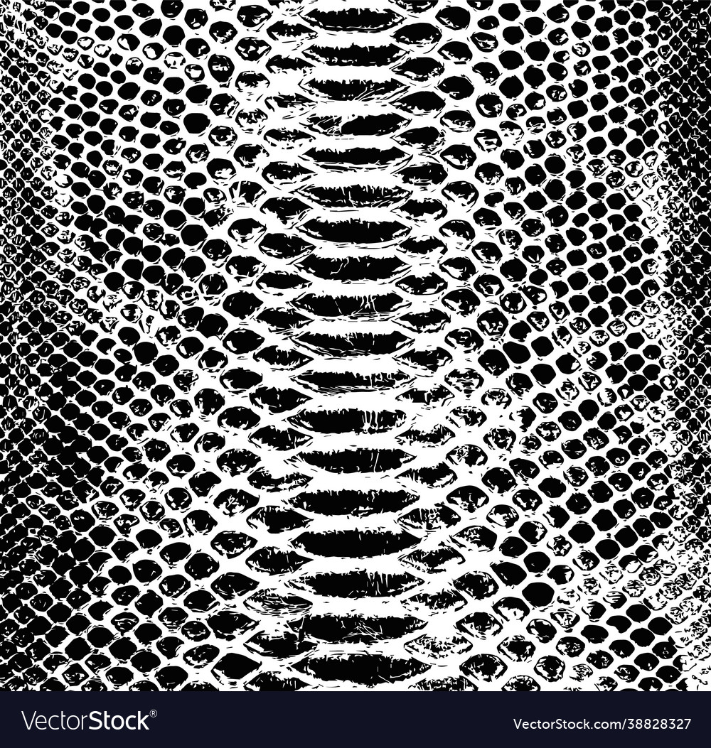 Snake skin background black and white Royalty Free Vector