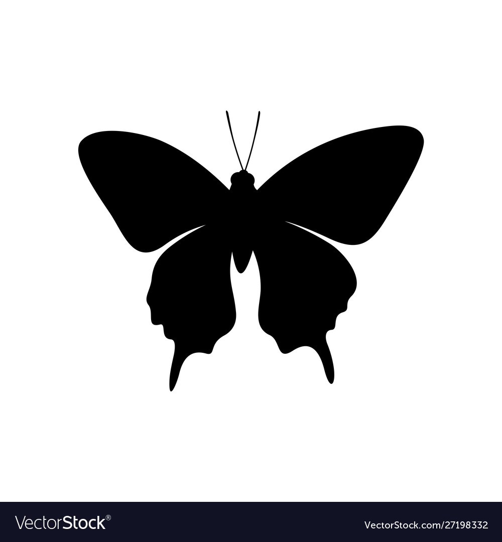 Butterfly logo design template