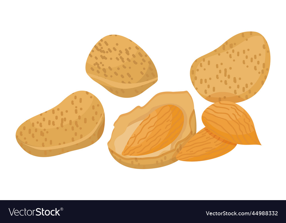 Heap of peeled almonds brown nuts inside nutshell