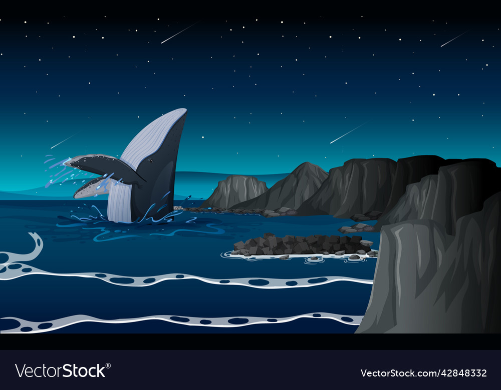 Humpback whale in the ocean at night