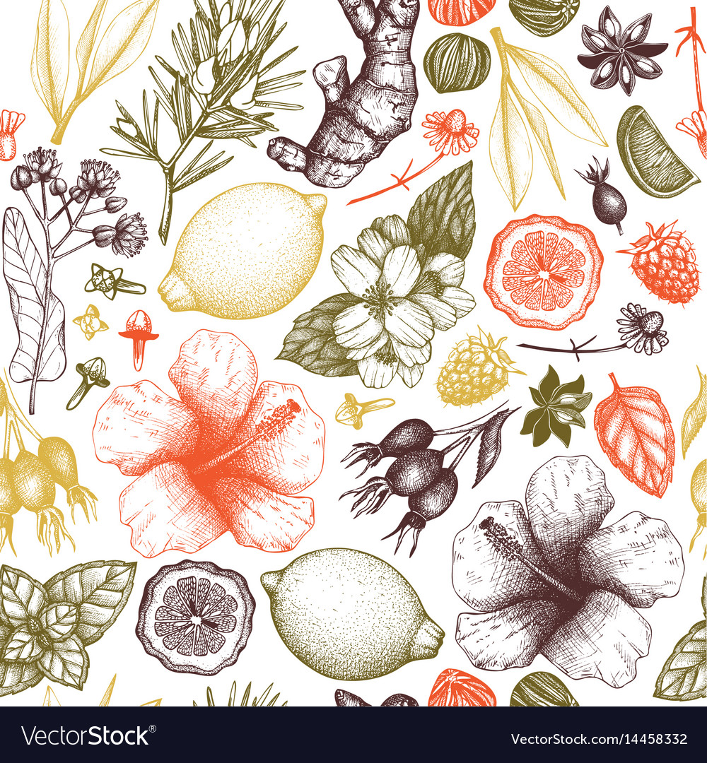 Tea background Royalty Free Vector Image - VectorStock